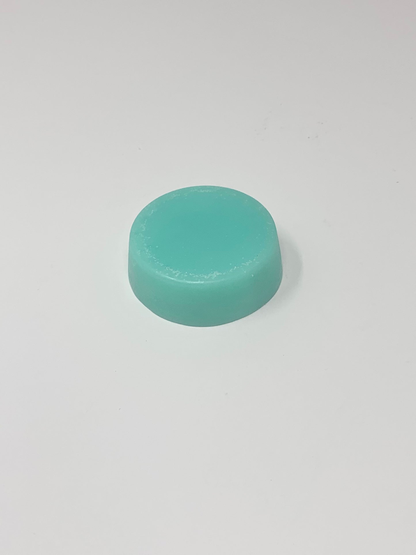 BEACH VIBES-Baja Cactus (fine/damaged hair) CONDITIONER