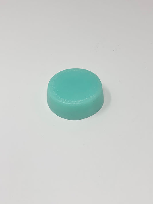 BEACH VIBES-Baja Cactus (fine/damaged hair) CONDITIONER
